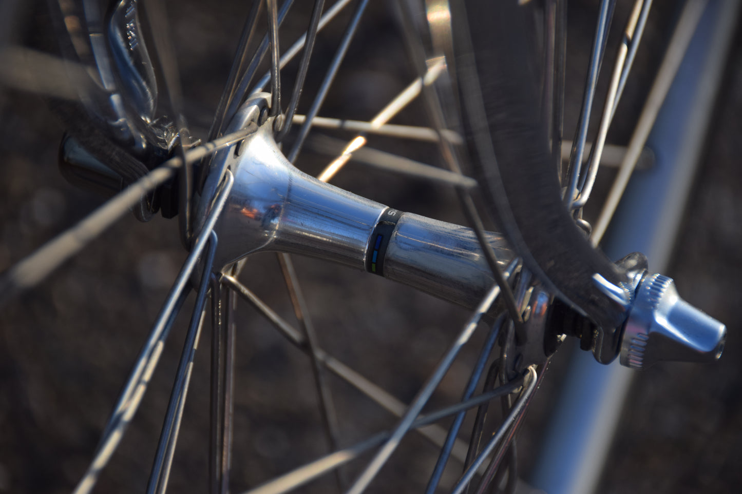 Romani Columbus Gara 58 cm