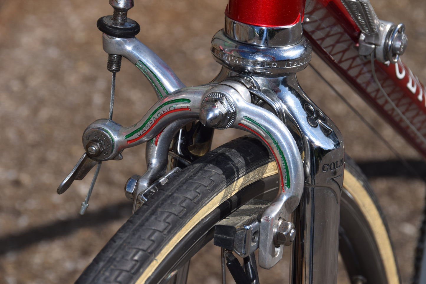 Colnago Master Saronni Retinato 55 cm