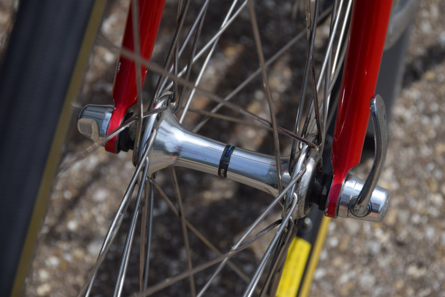 Basso Loto 53 cm