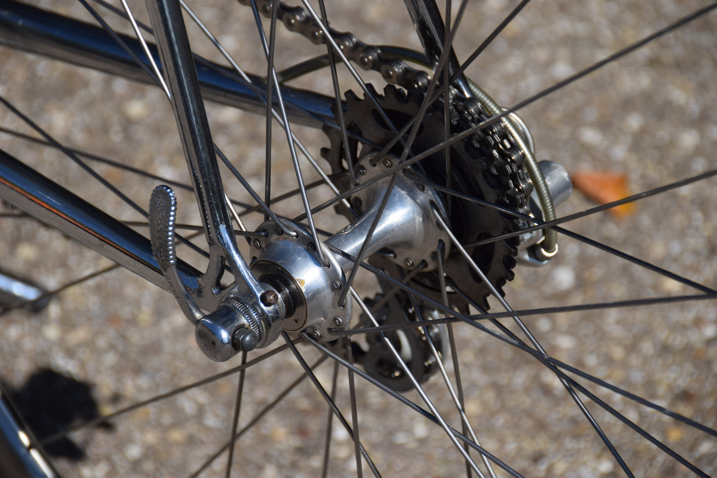 Bianchi Reparto Corse 57 cm