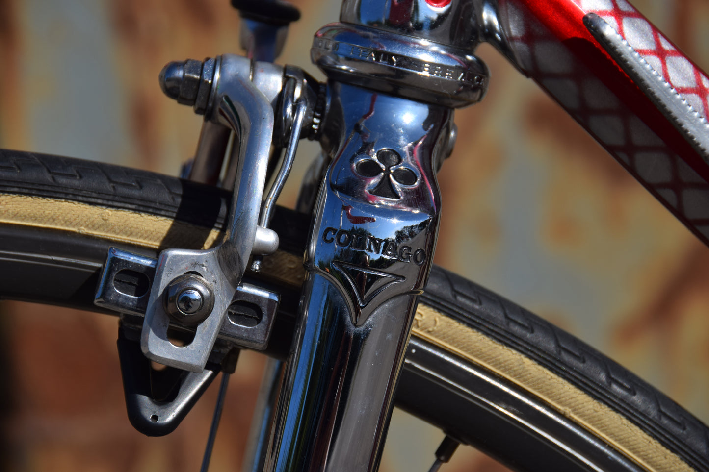 Colnago Master Saronni Retinato 55 cm