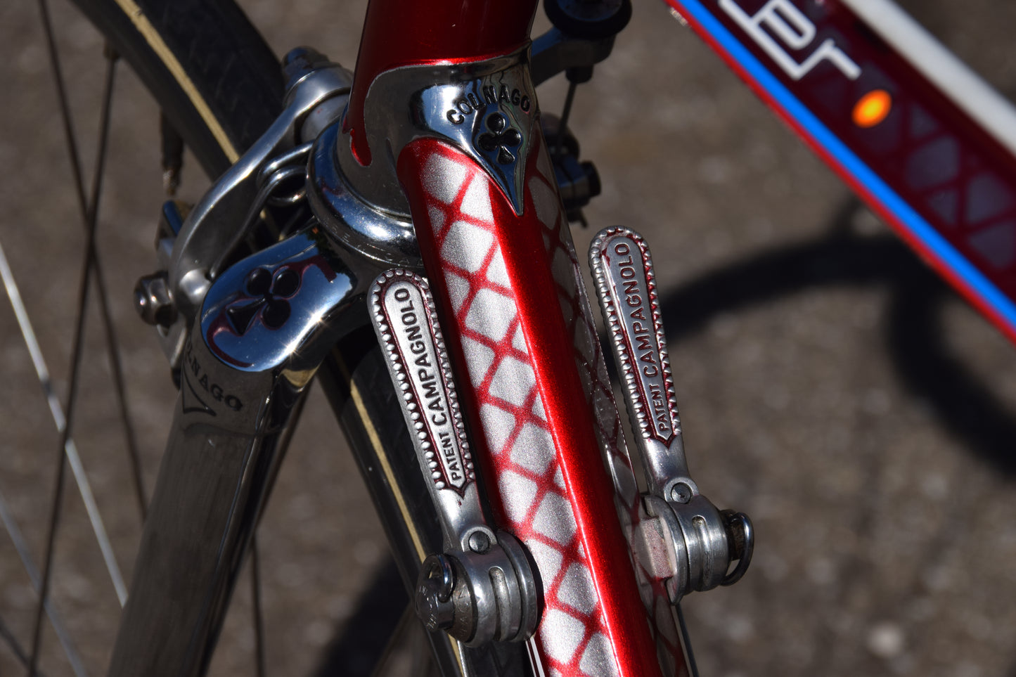 Colnago Master Saronni Retinato 55 cm