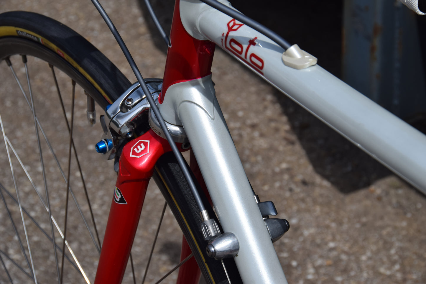 Basso Loto 53 cm