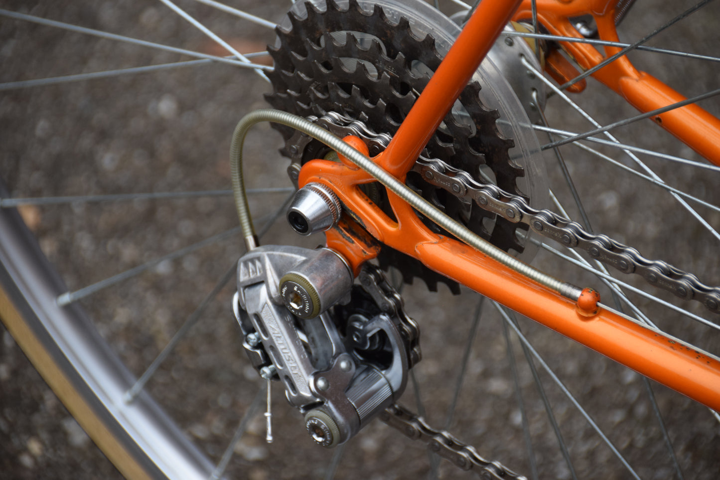 Shogun Hi-Ten 500 55 cm