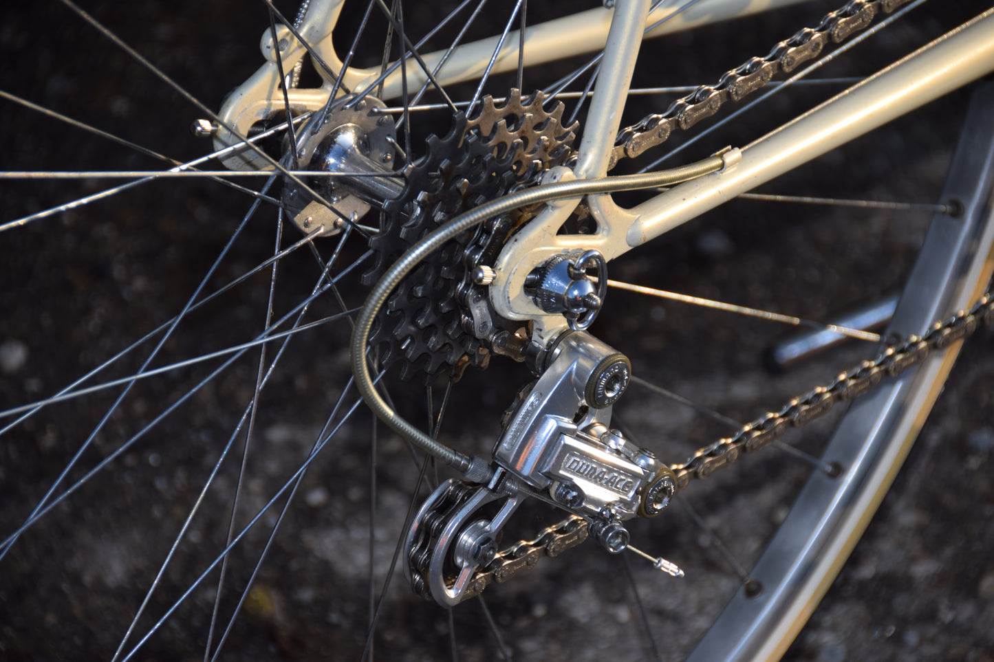 Gazelle Champion A-Frame 56 cm