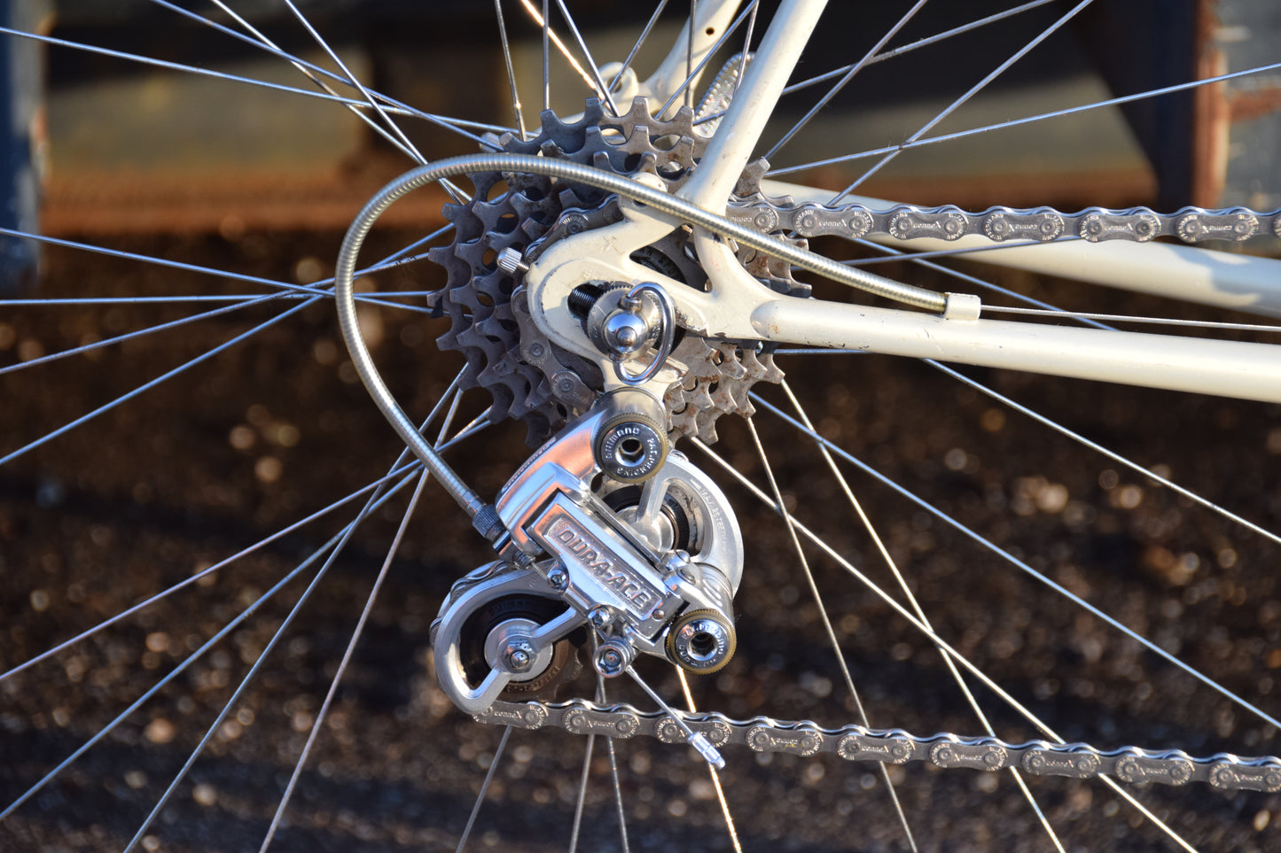 Gazelle Champion A-Frame 56 cm