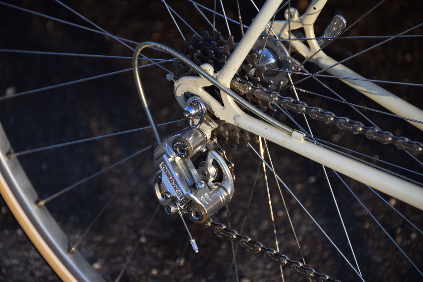 Gazelle Champion A-Frame 56 cm