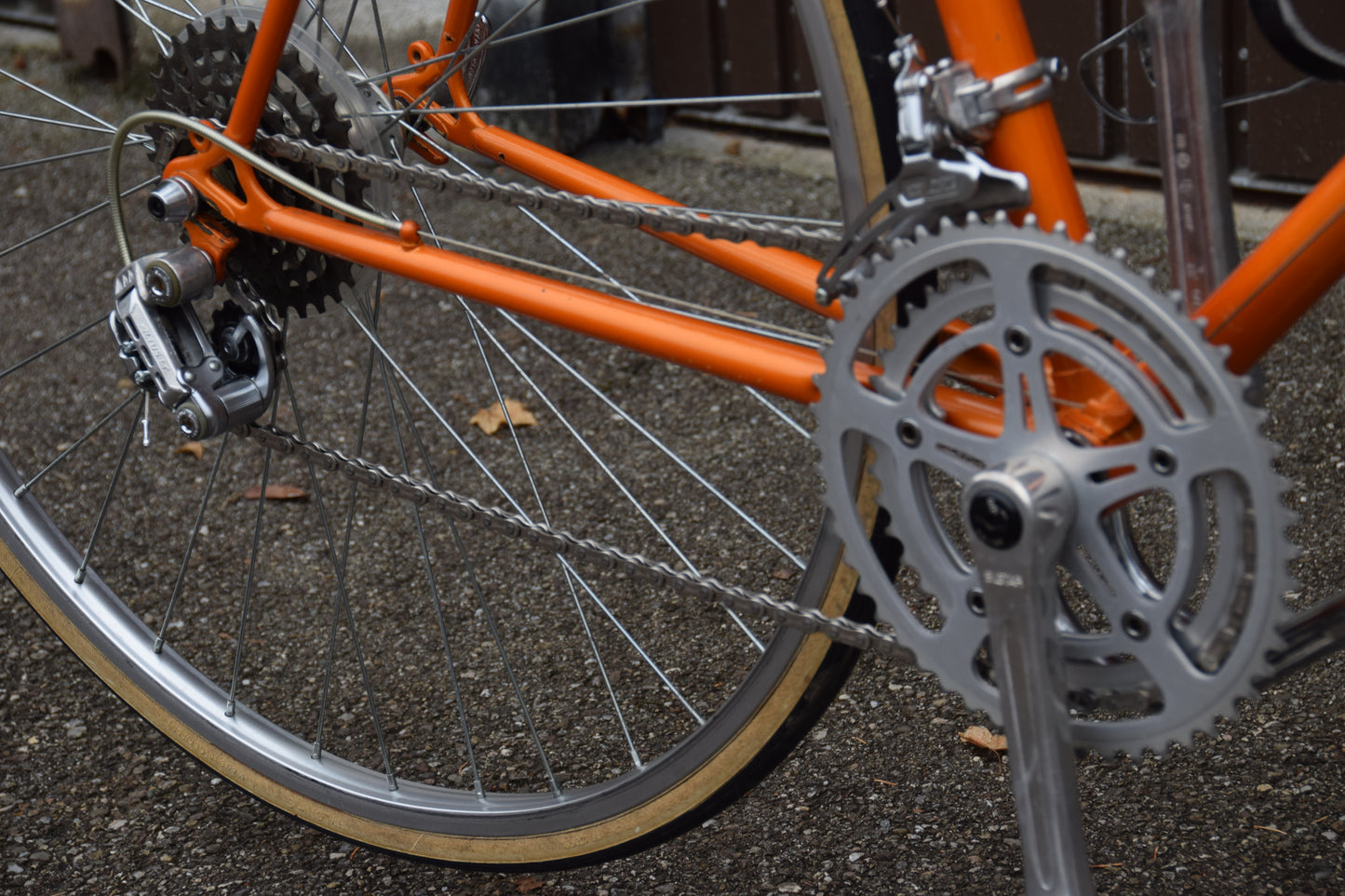 Shogun Hi-Ten 500 55 cm