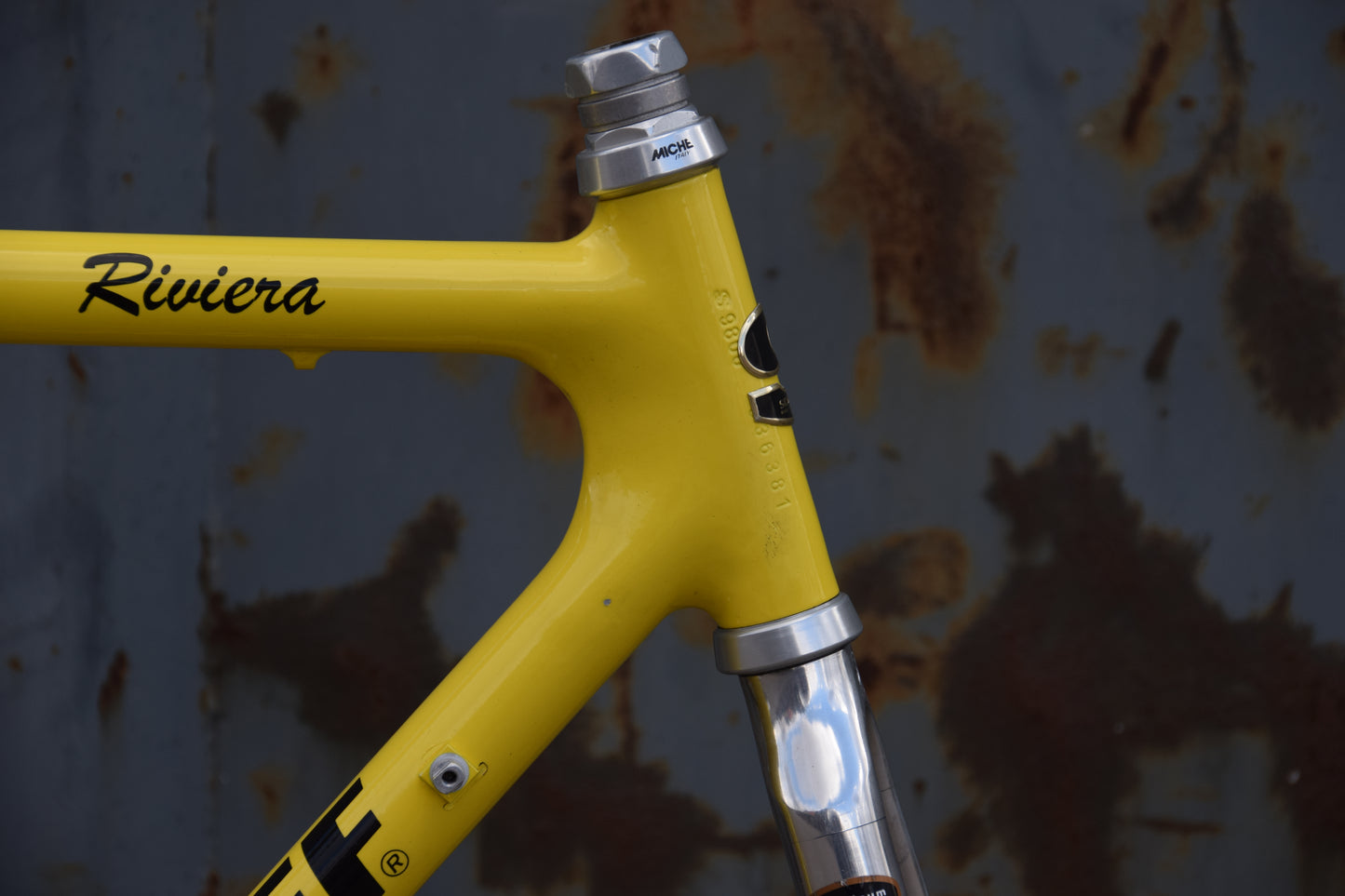 Francesco Moser Corsa 53 cm (copia)