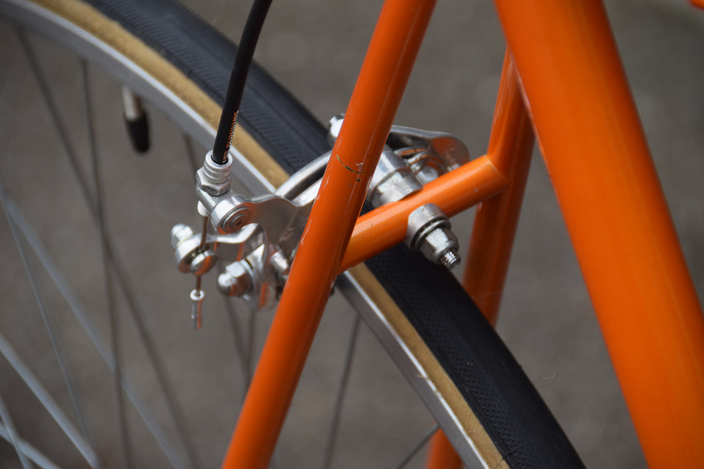 Shogun Hi-Ten 500 55 cm