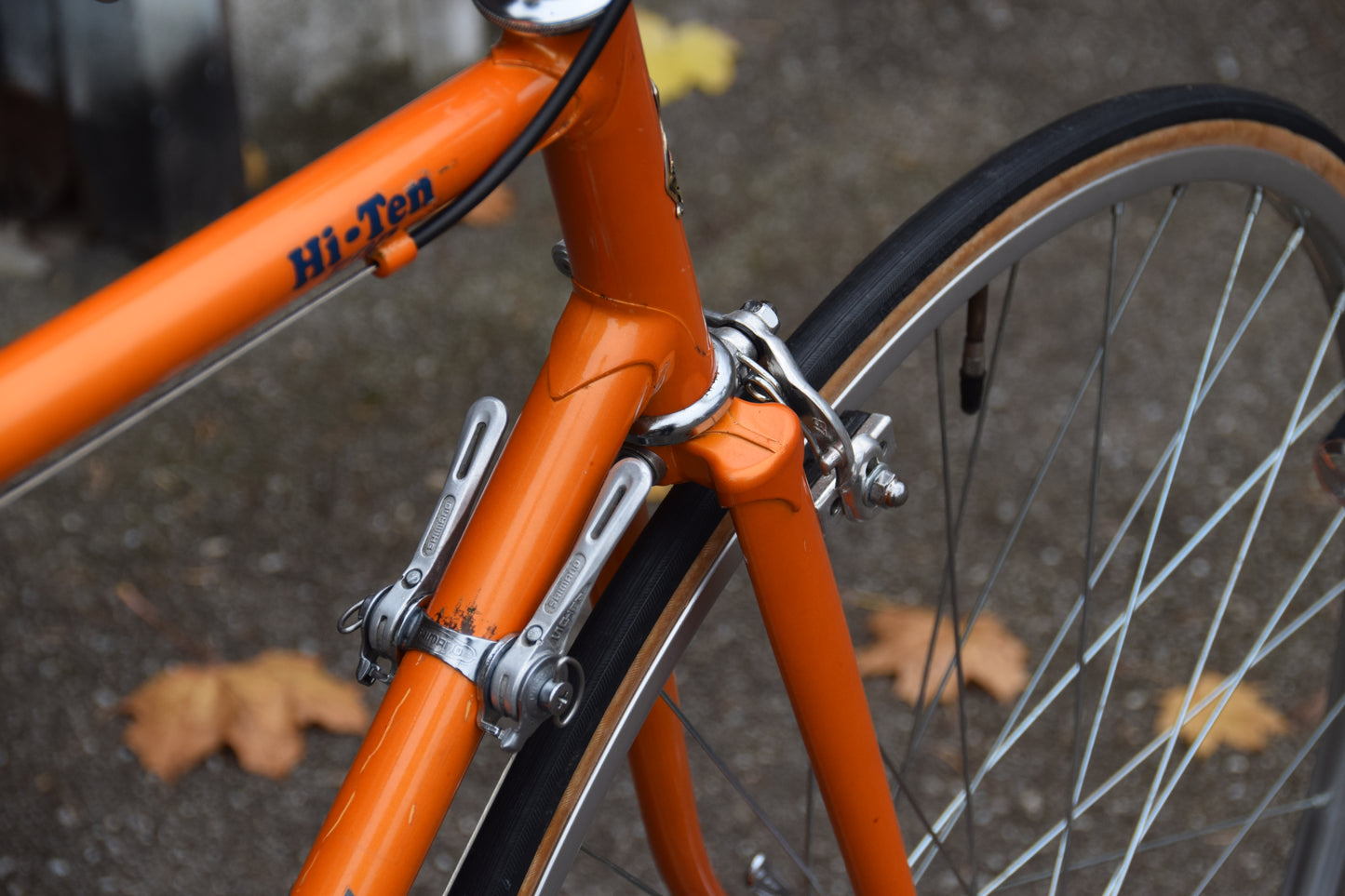 Shogun Hi-Ten 500 55 cm