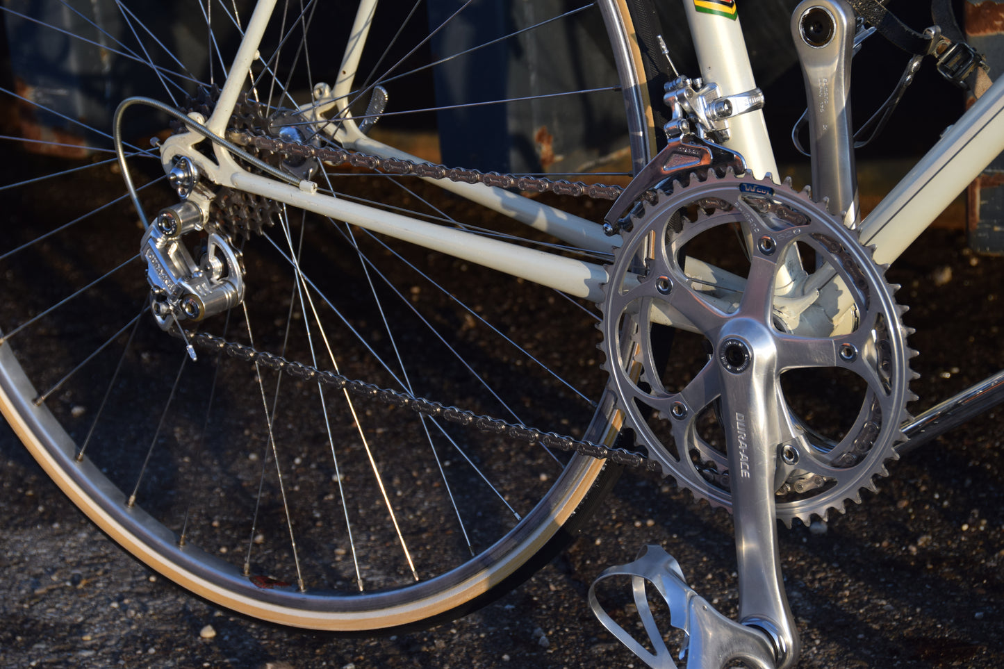 Gazelle Champion A-Frame 56 cm