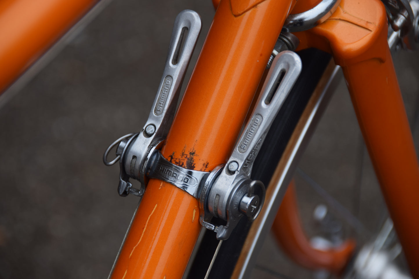 Shogun Hi-Ten 500 55 cm