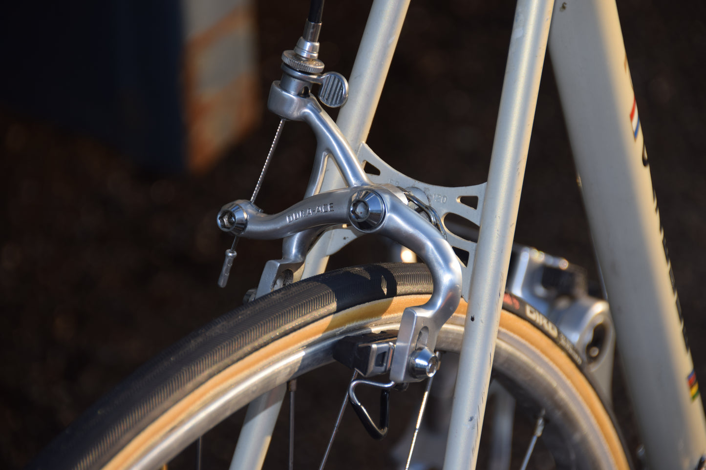 Gazelle Champion A-Frame 56 cm