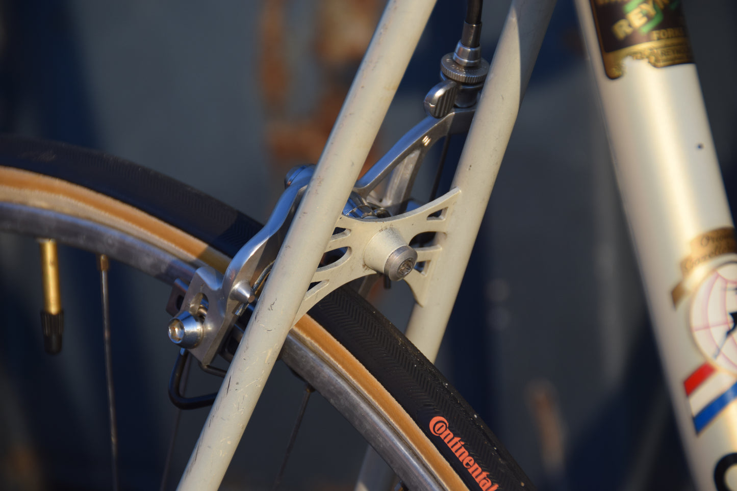 Gazelle Champion A-Frame 56 cm