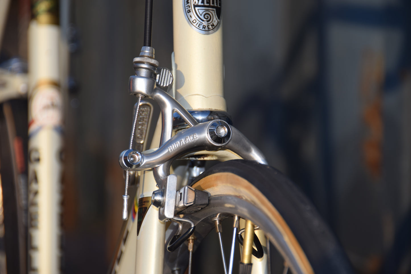 Gazelle Champion A-Frame 56 cm