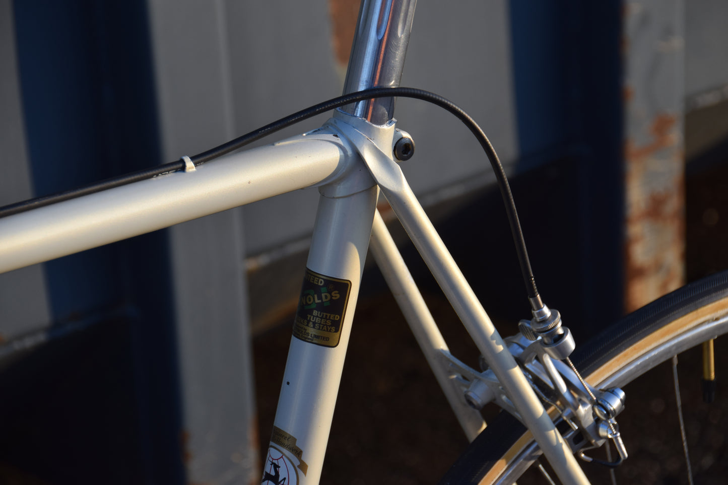 Gazelle Champion A-Frame 56 cm