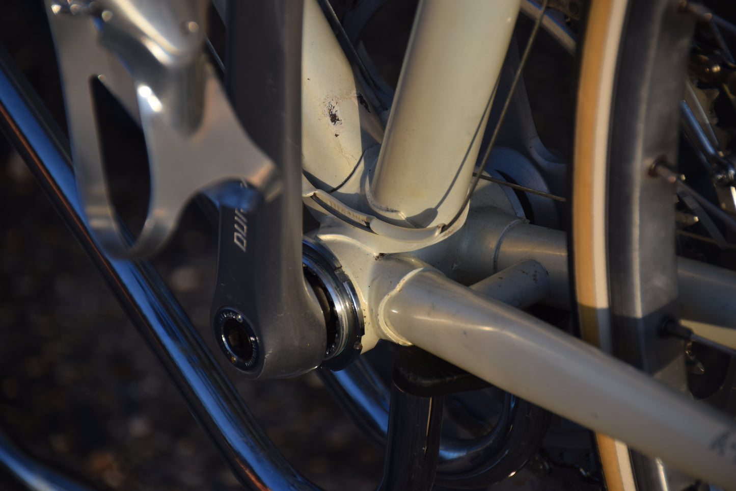 Gazelle Champion A-Frame 56 cm