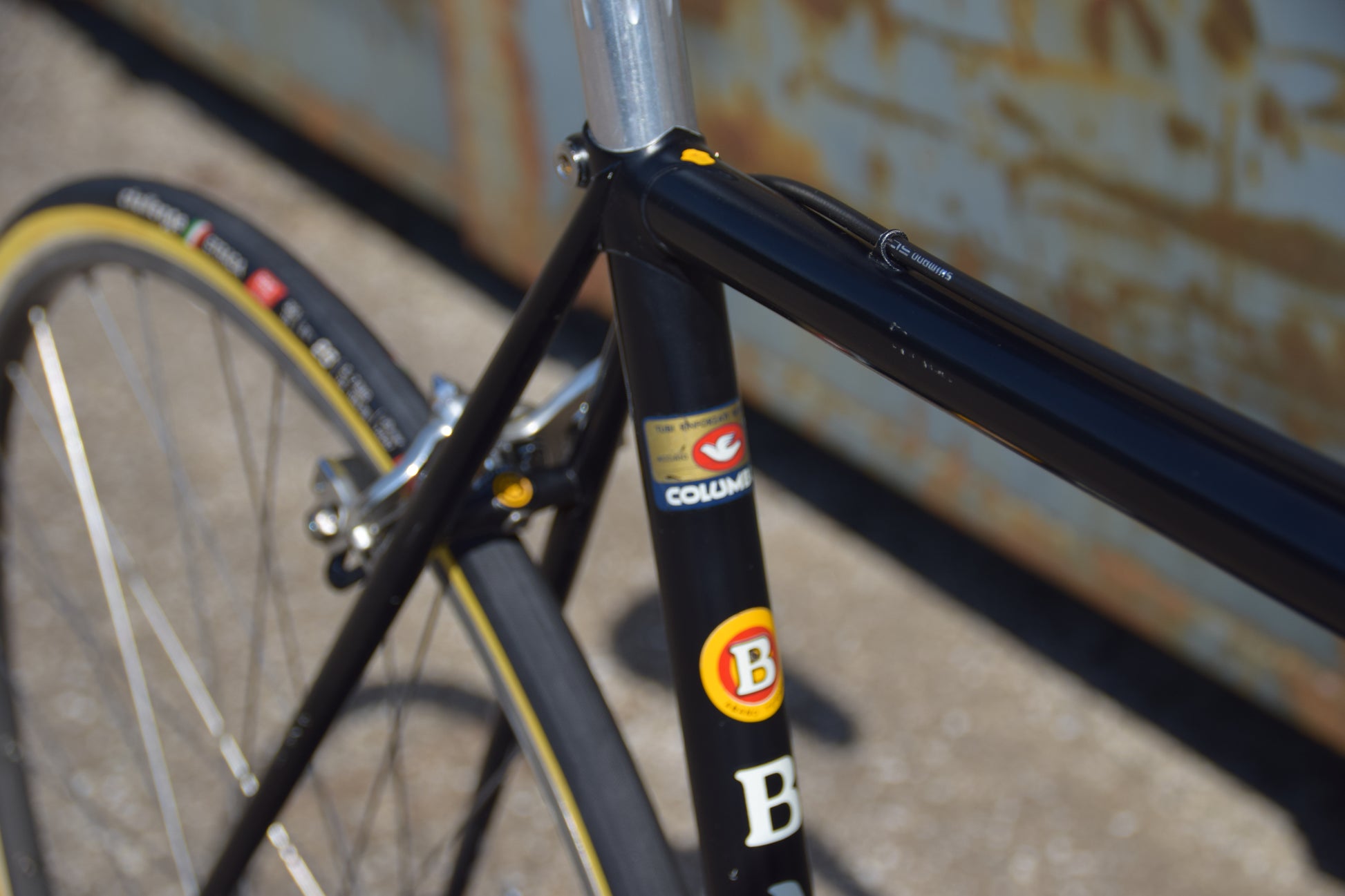 rennrad 53 cm Bassan Rennrad Campagnolo 53 cm
