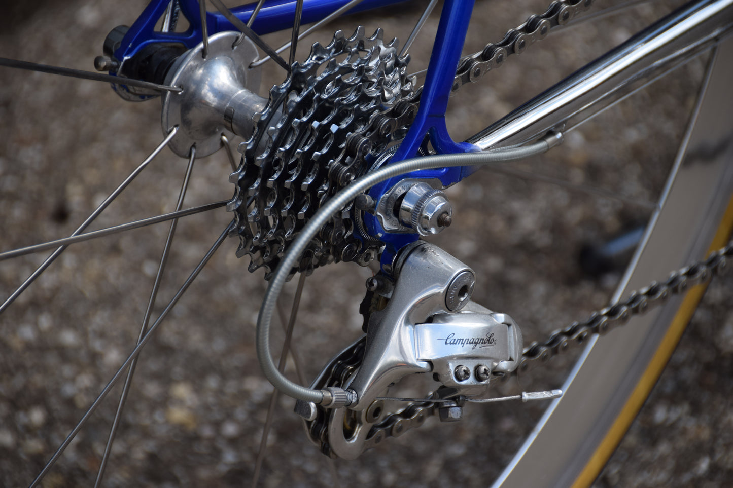 Colnago Master Decor 53 cm
