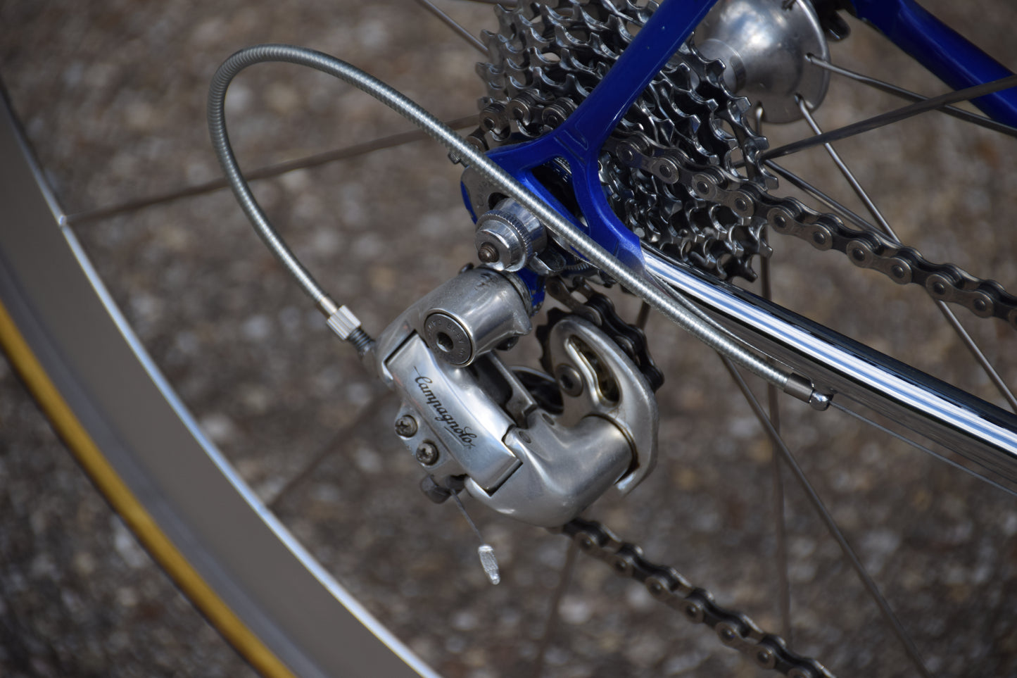 Colnago Master Decor 53 cm