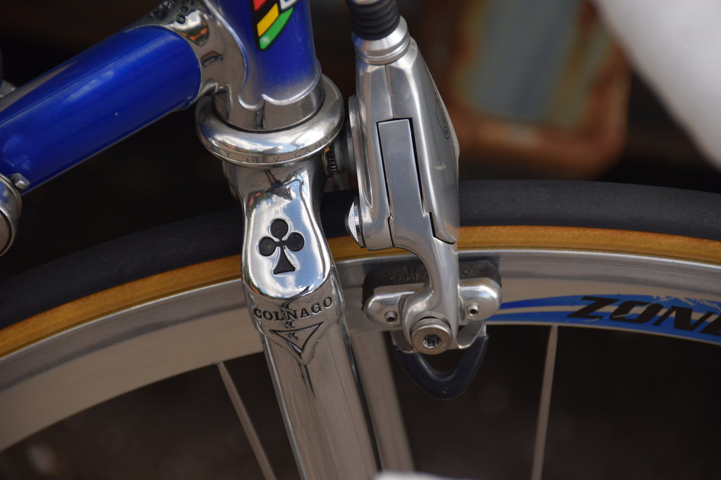 Colnago Master Decor 53 cm