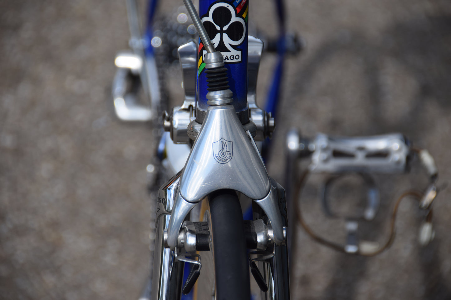 Colnago Master Decor 53 cm