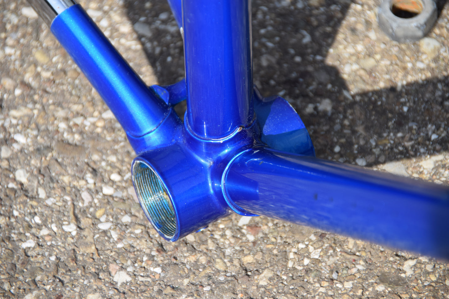 Le Taureau Alessandro Baldi Frame 48 cm