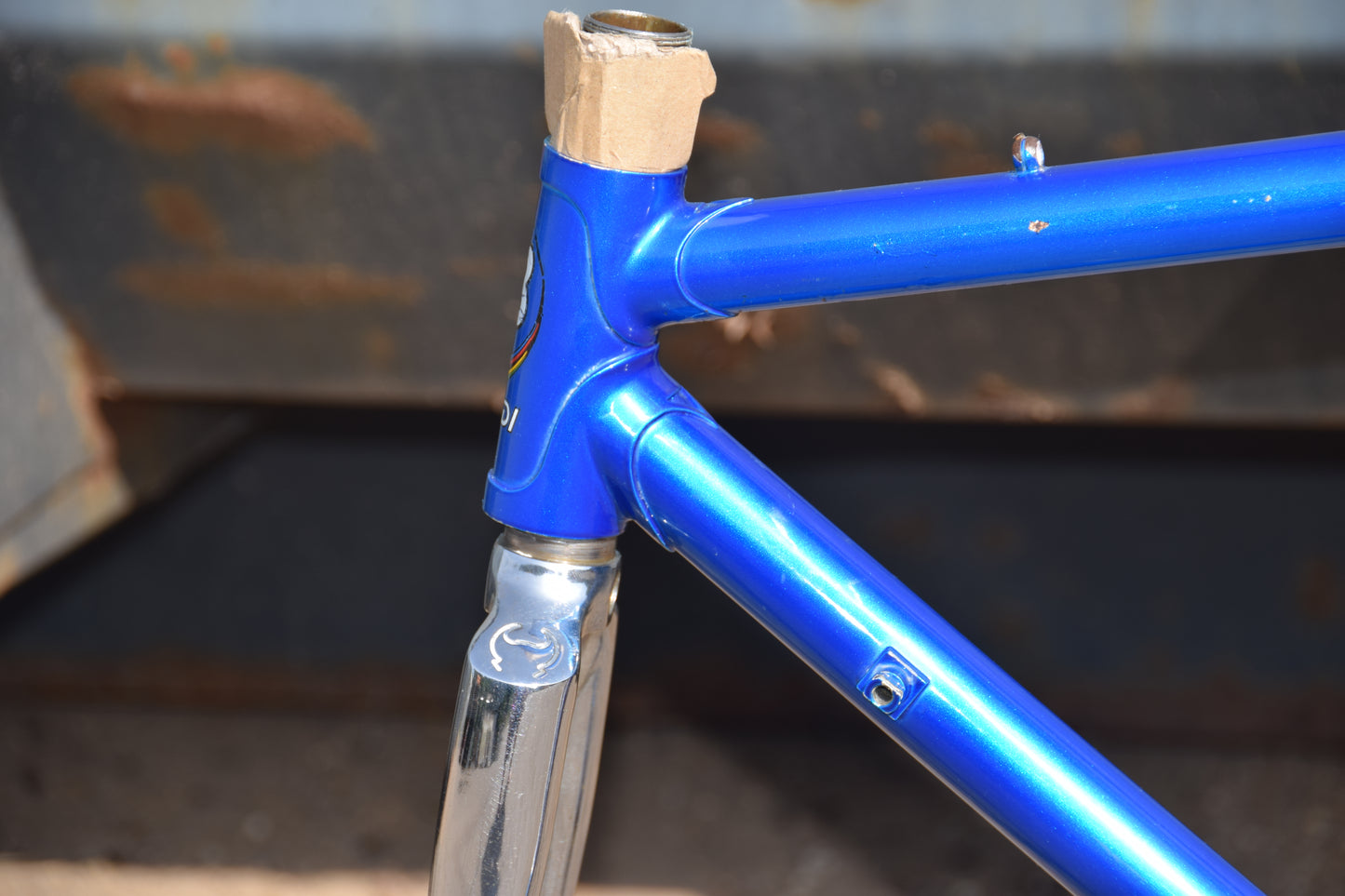 Le Taureau Alessandro Baldi Frame 48 cm