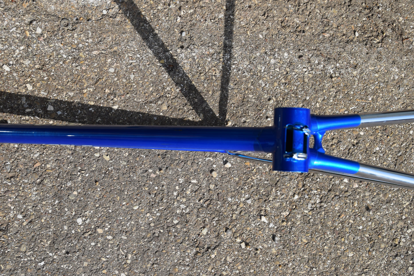 Le Taureau Alessandro Baldi Frame 48 cm