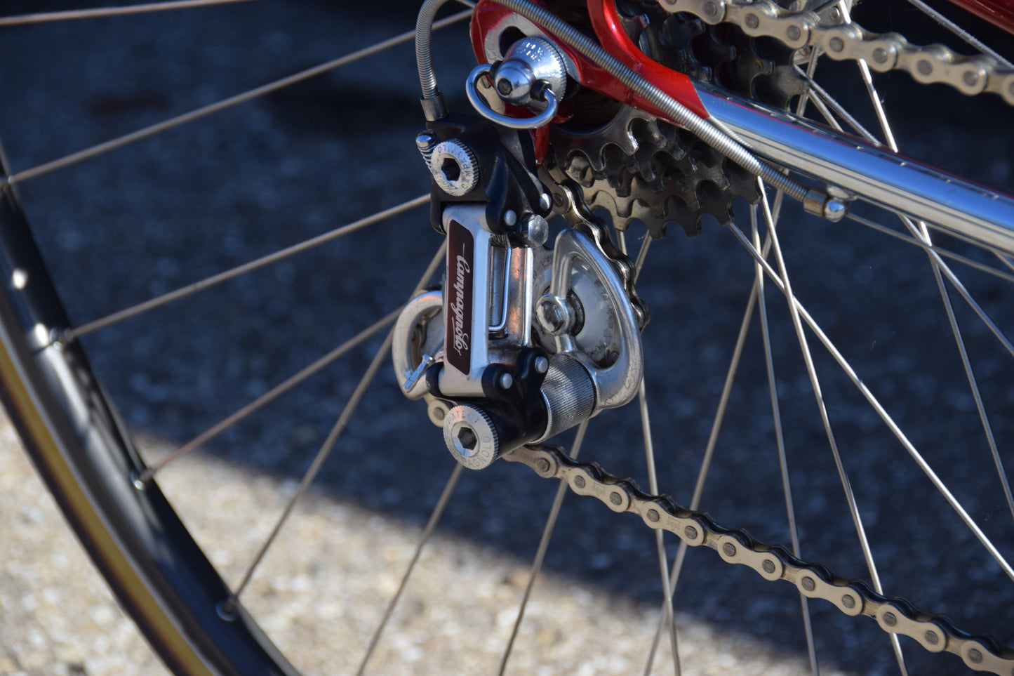 Colnago Mexico Saronni 52 cm