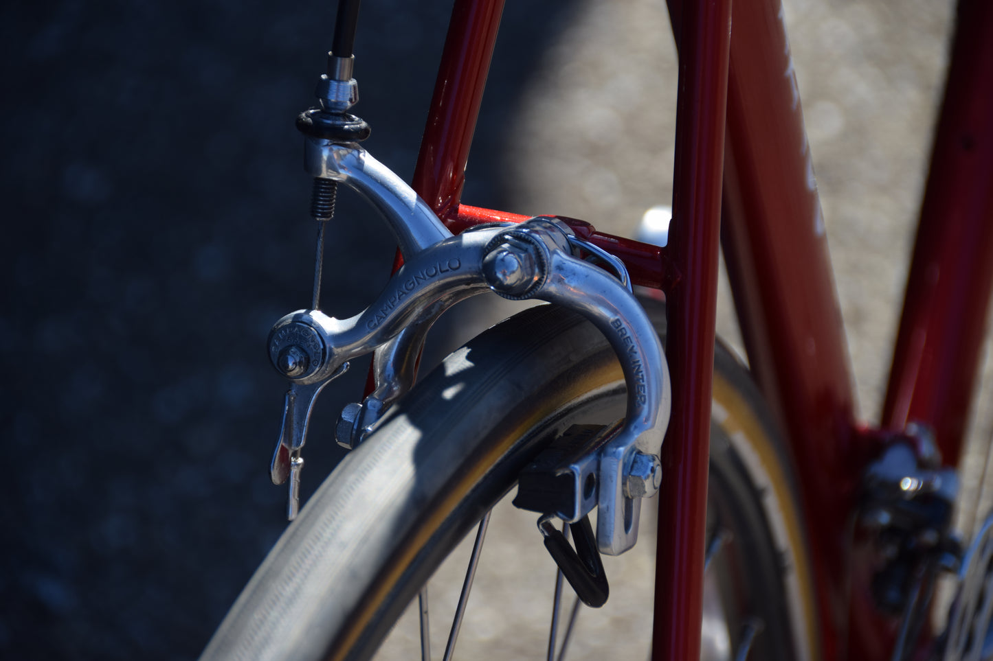 Colnago Mexico Saronni 52 cm