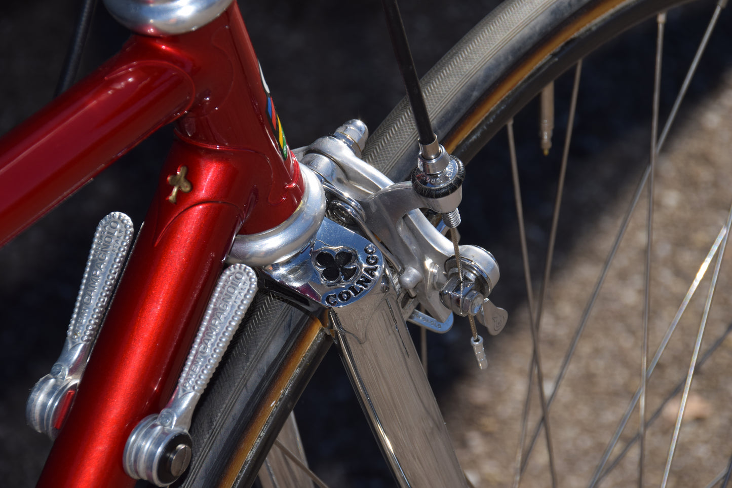 Colnago Mexico Saronni 52 cm