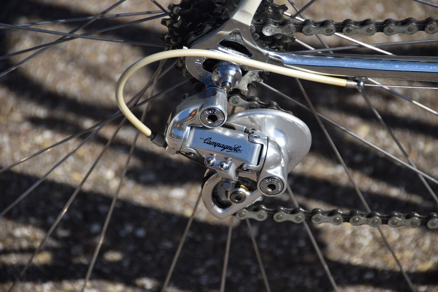 Colnago Super Chorus 54 cm