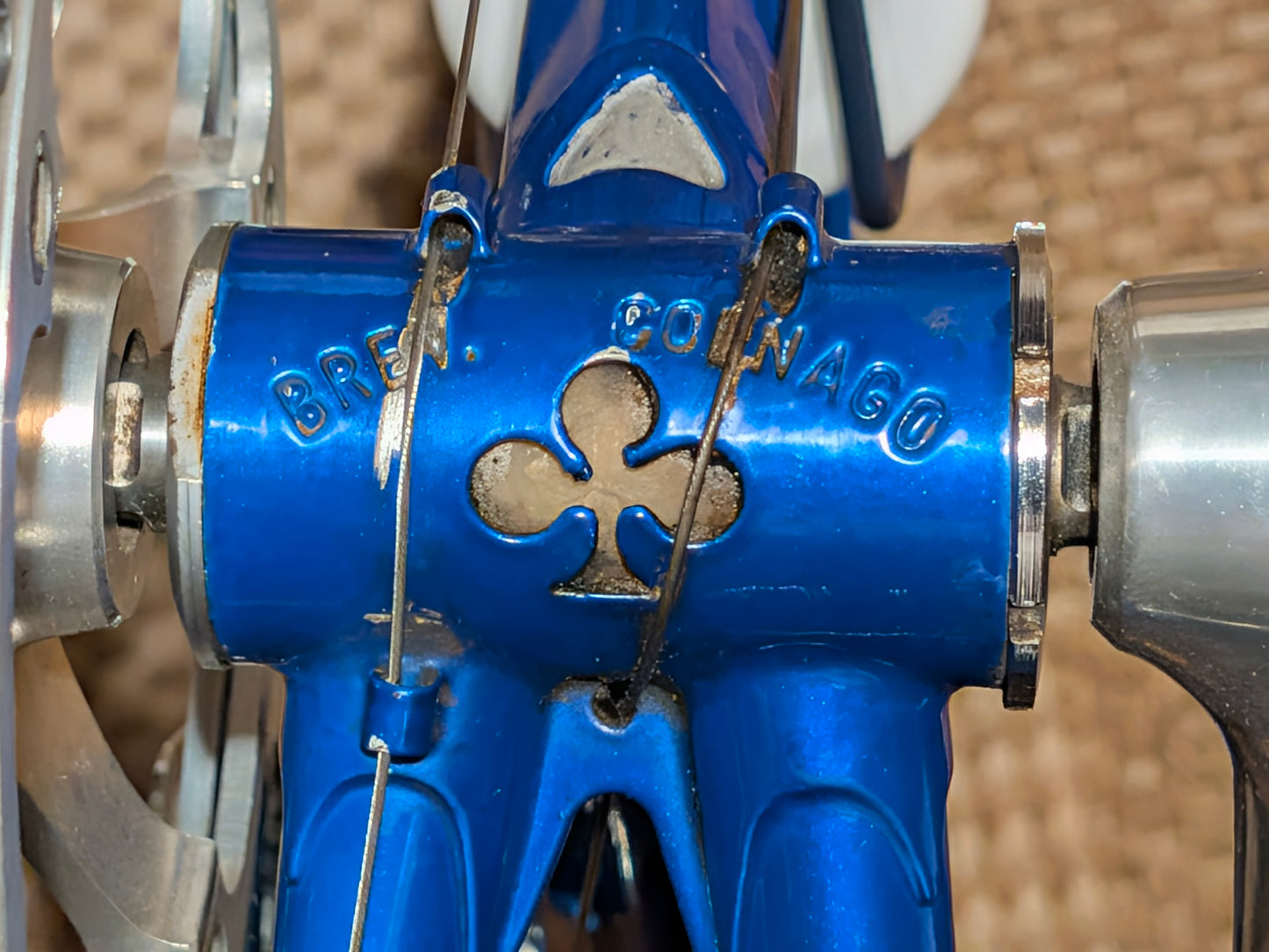 Colnago Master Decor 53 cm